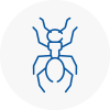 Ant Removals In Chard