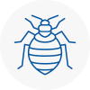 Bed Bug Extermination In Chard