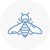 Bee Nest Removal Chard