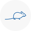 Mice Exterminators In Chard