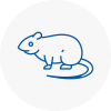 Rat Control Chard